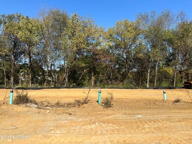 651 Snowflower Cir unit 141, Pigeon Forge, TN 37863 - photo 4