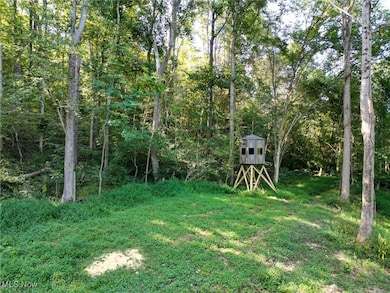 0 Greenlawn Rd unit 1, Quaker City, OH 43773 - photo 4