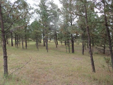 TBD Lot 34B Hombre Trail unit TBD Lot 34B, Crazy Horse, SD 57730 - photo 4