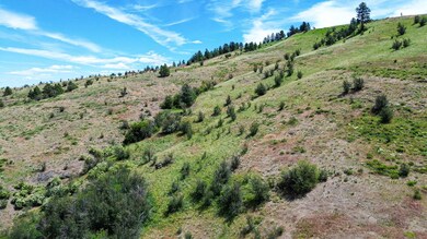 20913 E Jesse Ln unit Approx, Liberty Lake, WA 99016 - photo 7