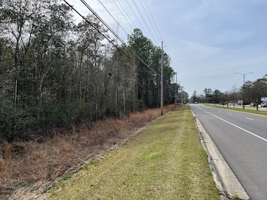 NHN Highway 43 N, Picayune, MS 39466 - photo 3