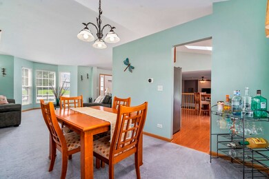 24246 W Walnut Cir, Plainfield, IL 60585 - photo 7