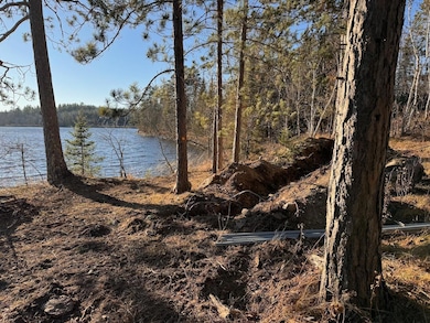 View from lakeshore lot