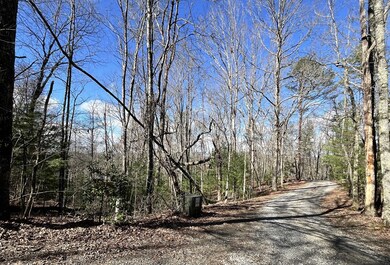 LOT 4LW Katydid Rd, Mineral Bluff, GA 30559 - photo 6