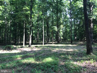 3914 Dupont Pkwy, Townsend, DE 19734 - photo 3