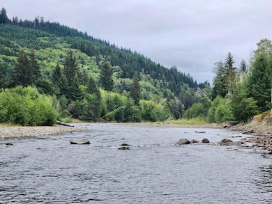 0 Dowan Creek Rd unit 24767132, Forks, WA 98331 - photo 4