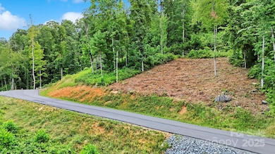 Lot 27 Summit View Pkwy, Spruce Pine, NC 28777 - photo 6