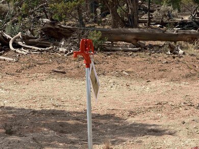 38.06 tbd Black Bear Trail, Crawford, CO 81415 - photo 4