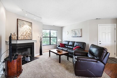 Living Room3
