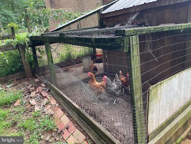 6180 Evergreen Mountain Rd, Broad Run, VA 20137 - photo 5