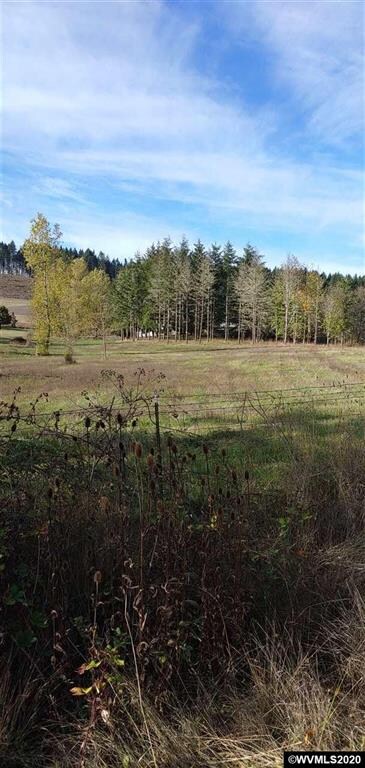 24322 Gellatly Way, Philomath, OR 97370 - photo 6