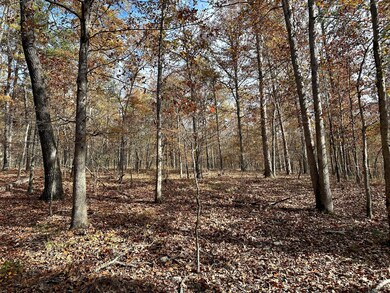 000 Route Z Hwy, van Buren, MO 63965 - photo 4