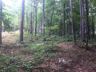 Lot 84 Peninsula Pointe, West Union, SC 29696 - photo 7