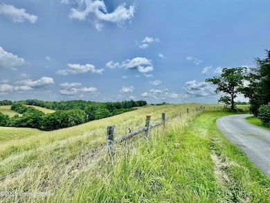 3650 Baker Ridge Rd, Willisburg, KY 40078 - photo 2