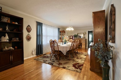 213 High Point Ave, Muscle Shoals, AL 35661 - photo 5