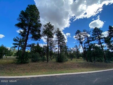 Tall Pines