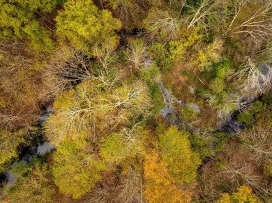 12-web-or-mls-DJI_20241106114316_0161_D-