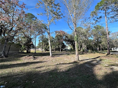 TBD E Lake St, Palatka, FL 32177 - photo 4