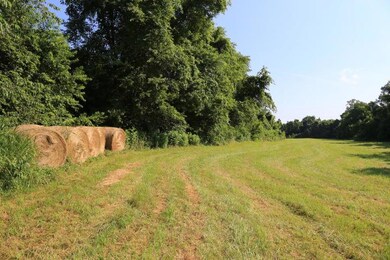 Fields1