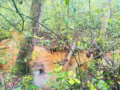 Lot 1 3 Notch Rd, Monetta, SC 29105 - photo 3