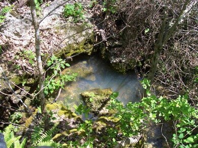 100 acres spring