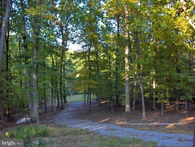 18718 Mount Lock Hill Rd, Sharpsburg, MD 21782 - photo 4