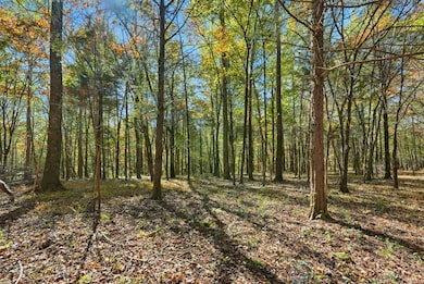 180 Tatum Rd, Pulaski, TN 38478 - photo 6