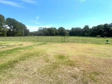 2075 Lowman Loop, Dozier, AL 36028 - photo 5