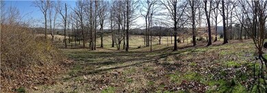 800 Alf Harris Rd, Prospect, TN 38477 - photo 2