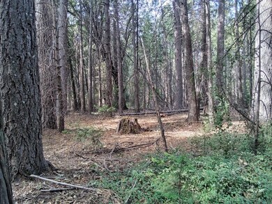 0 Just Rd unit 225114102, Iowa Hill, CA 95713 - photo 4