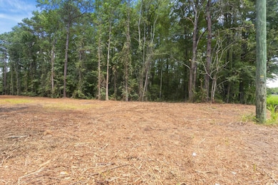 View of undeveloped land