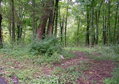 550 Normans Camp Rd, Harrodsburg, KY 40330 - photo 6