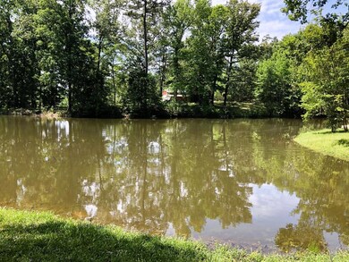 1230 County Road 274, Garrison, TX 75946 - photo 5