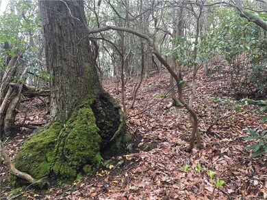 Wide hardwoods found throughout the property.