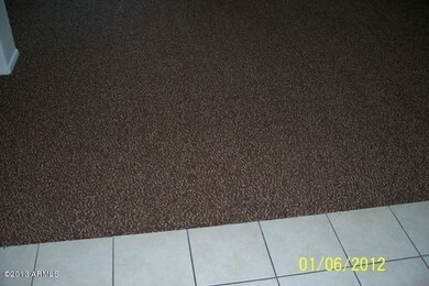 carpet3
