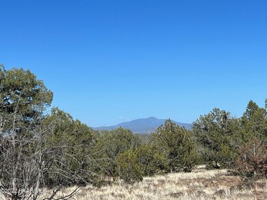 2d Stockmans Rd, Ash Fork, AZ 86320 - photo 7