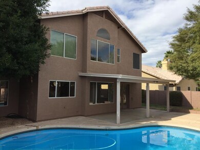 Pool & Patio