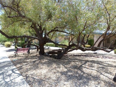 13821 N 109th Ave, Sun City, AZ 85351 - photo 2