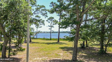 Savannah E-6