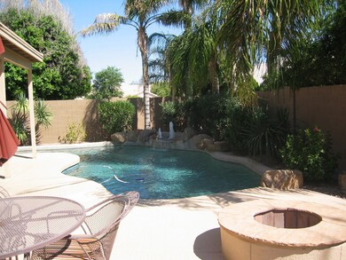 Backyard Pool