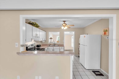 724 Myrtle Ave, Venice, FL 34285 - photo 7