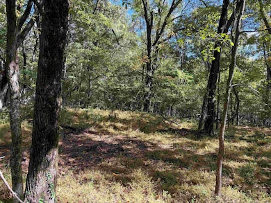 0 Bethuel Rd unit 15, Unincorporated, TN 38053 - photo 3