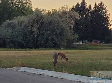 TBD Gayle Block 17 Lot 8 Dr, Billings, MT 59105 - photo 4