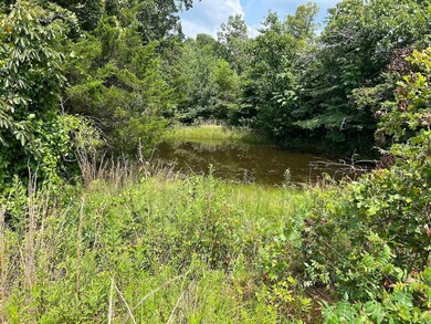 land for sale in thayer4