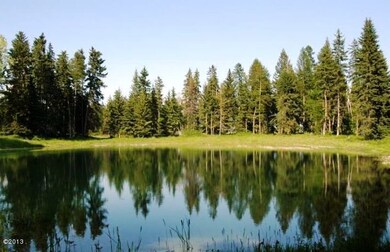 Pond