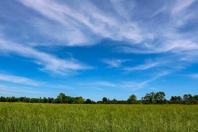 farmground_0323