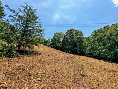 0 Island Cove Rd unit 23824831, Rocky Top, TN 37769 - photo 5