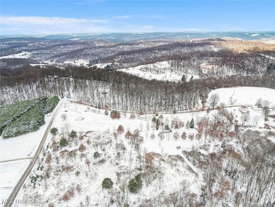 87085 Crall Rd, Scio, OH 43988 - photo 4