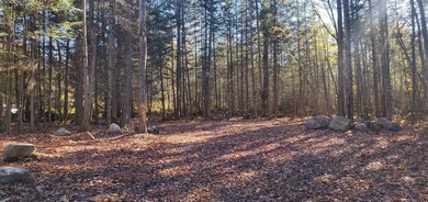 12 Bear Paw Trail unit 1-2, Littleton, NH 03561 - photo 7