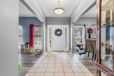 416 Trinity Ridge, Pevely, MO 63070 - photo 7